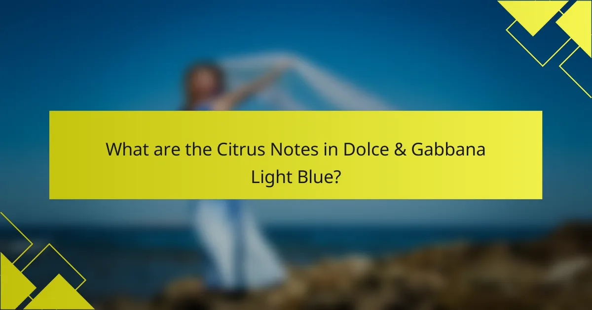 What are the Citrus Notes in Dolce & Gabbana Light Blue?
