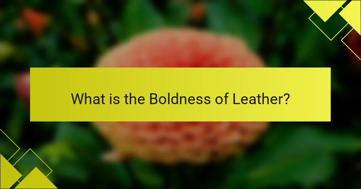 What is the Boldness of Leather?
