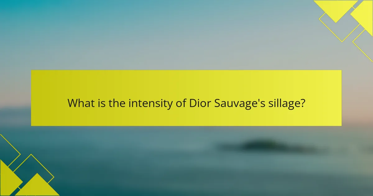 What is the intensity of Dior Sauvage's sillage?
