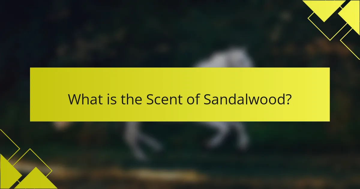 What is the Scent of Sandalwood?