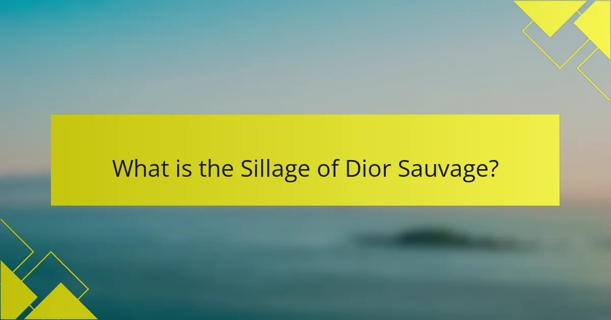 What is the Sillage of Dior Sauvage?