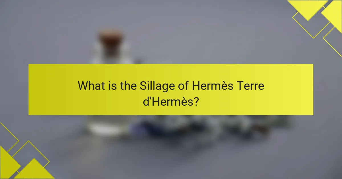 What is the Sillage of Hermès Terre d'Hermès?