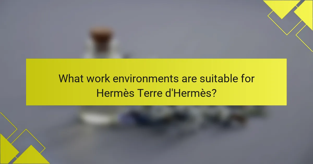 What work environments are suitable for Hermès Terre d'Hermès?